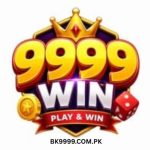 9999Win Game