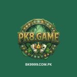 PK8 Game Free Download APK