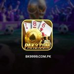 PAK3 Game APK Download